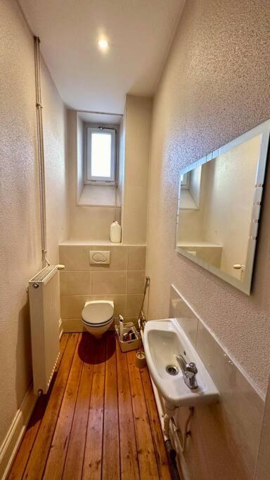 Loft Avec Spa A Avec Parking Prive 6 Personnes * Mülhausen